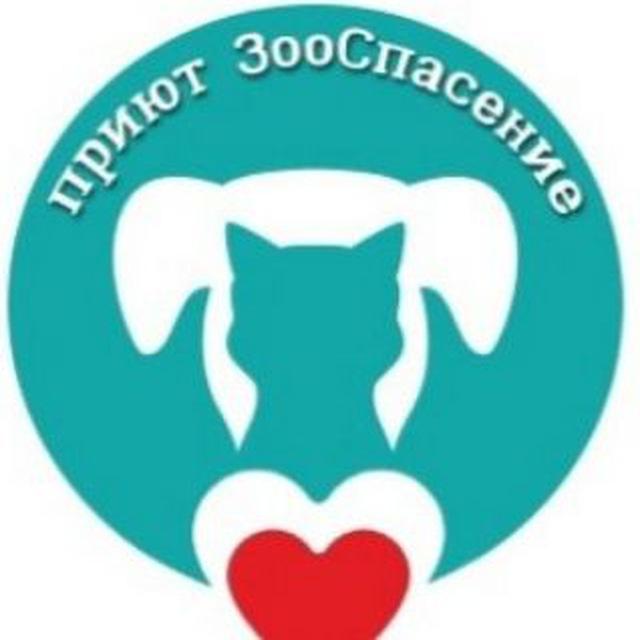 "ЗооСпасение"🐕🐈- приют для бездомных животных г. Самара.