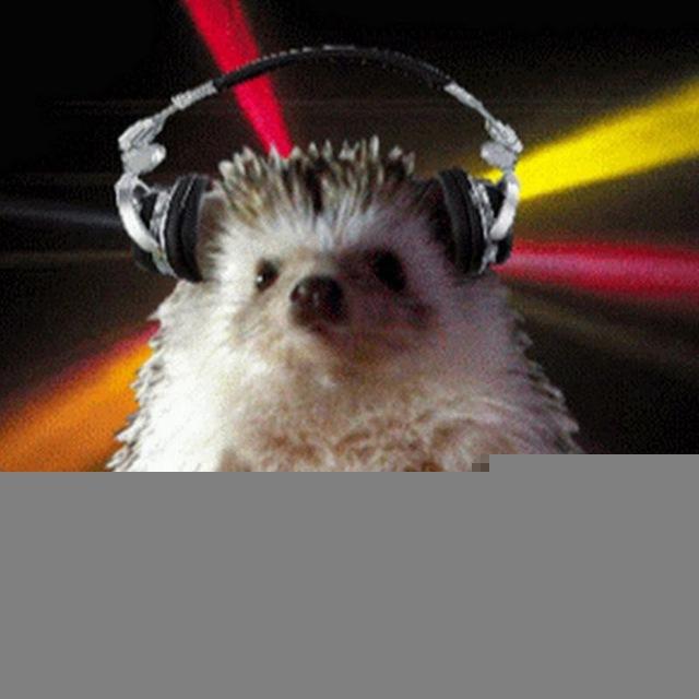 Dj Piska