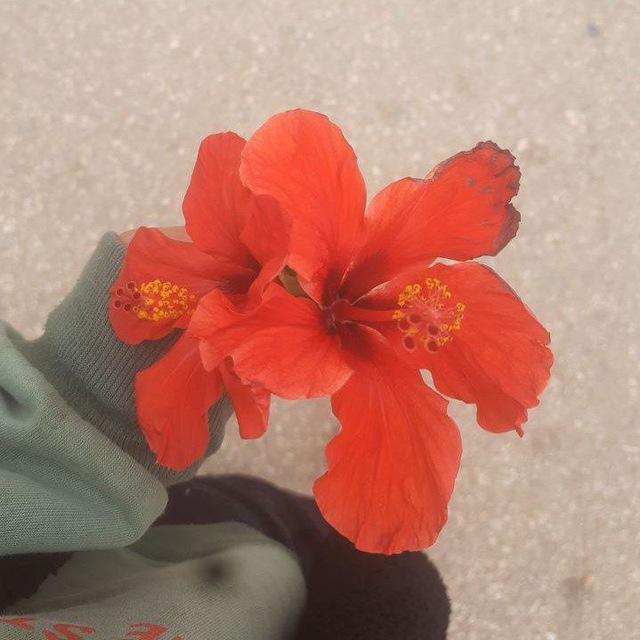 💕