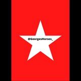 Georges Horses