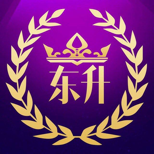东升集团巨星东升交流群