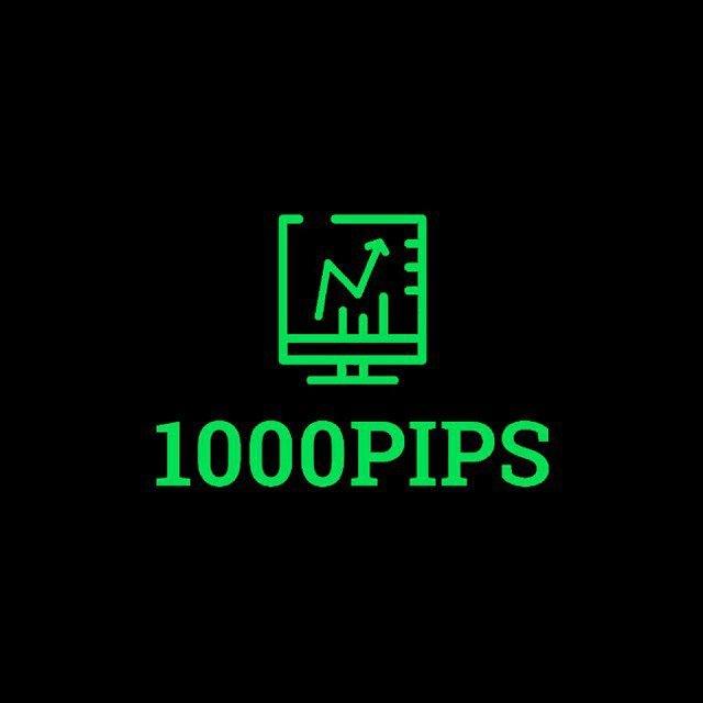 1000PIPSFX.com