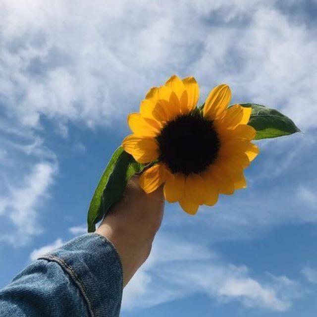 كن قوياً لأجلك 💛