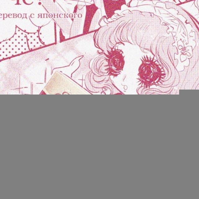 ♥️🌹🧷diary BB65