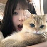 迟意