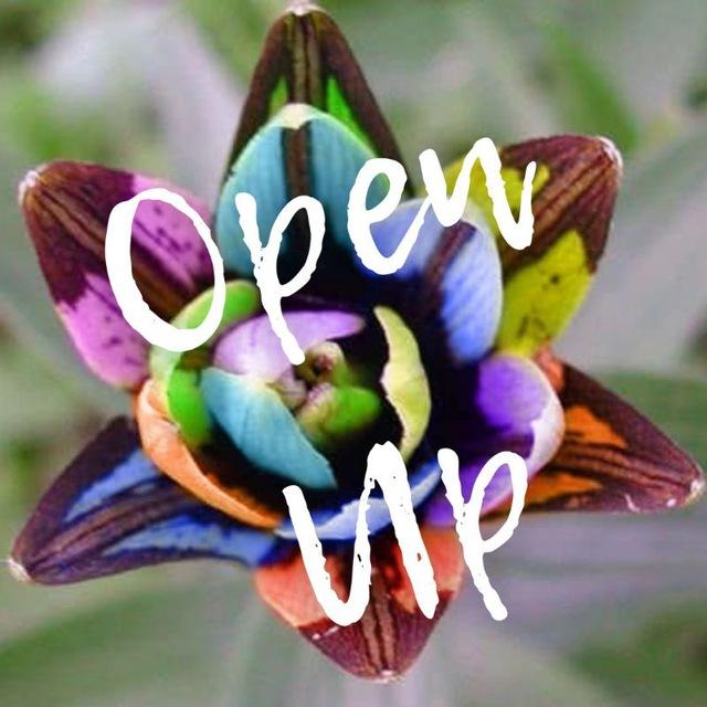 Open Up