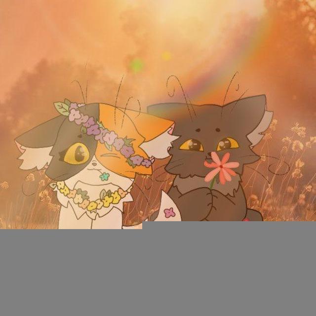 🌷 Коты Воители/Warriors cats ✨