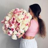 Elyya_dru