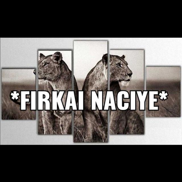 𝙁𝙄𝙍𝙆𝘼İ 𝙉𝘼𝘾İ𝙔𝙀 ࿐