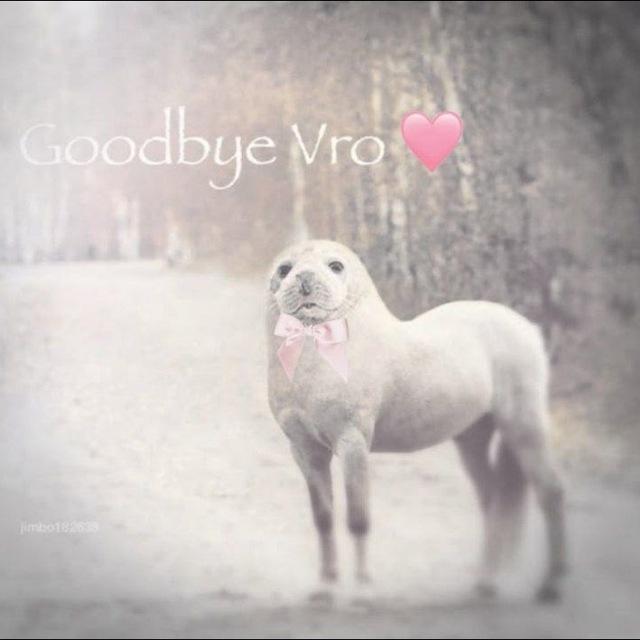𝒱ancouvd