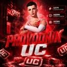 PROVODNIK UC