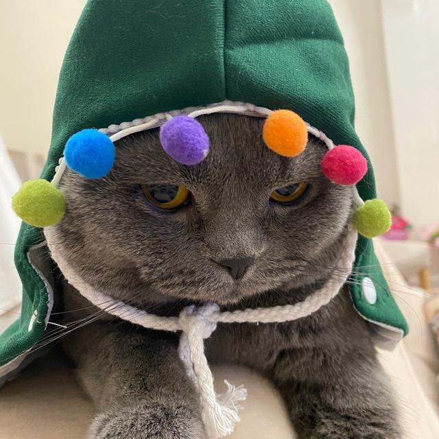 fink