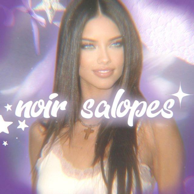 ˖ ࣪ 𖠵 noir salopes.𖥔࣪{закрыт}
