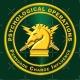 Patriots Rising