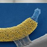 איך יוצרים עם nano banana