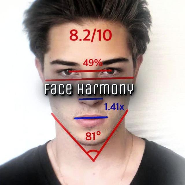 Face Harmony