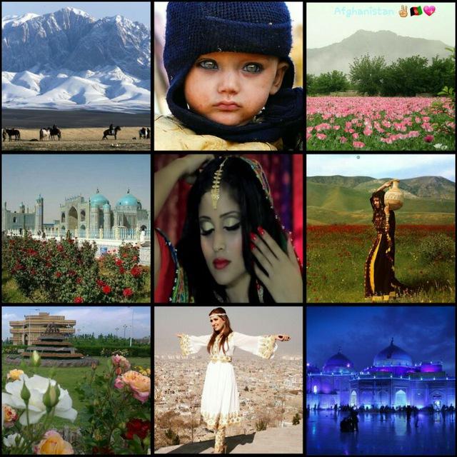 Pashto & Persian songs