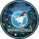 කනාමැදිරියෝ ☠️