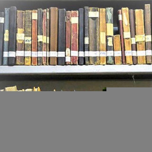 قناة التاريخ والنسب (علي الصيخان)