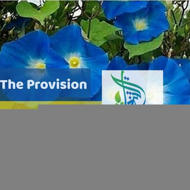 The Provision of the Hereafter-Enlightenment into Islam