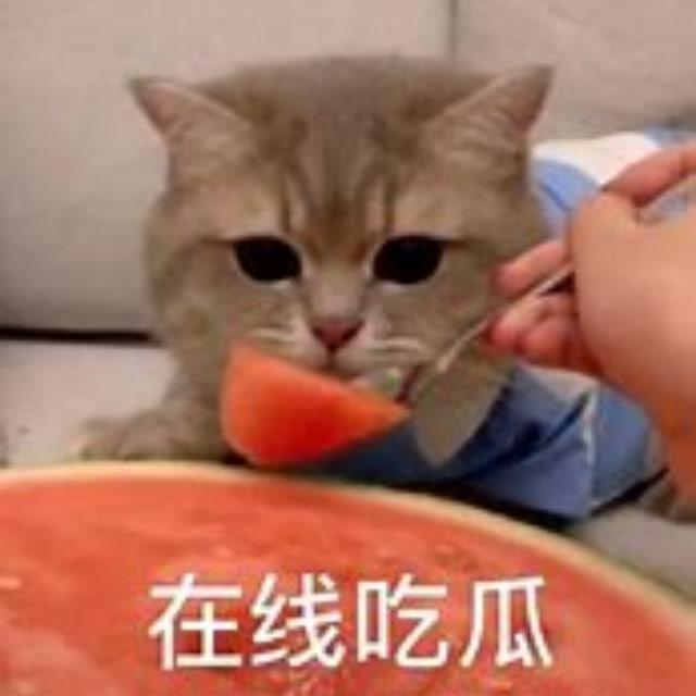 反差|萝莉|少女