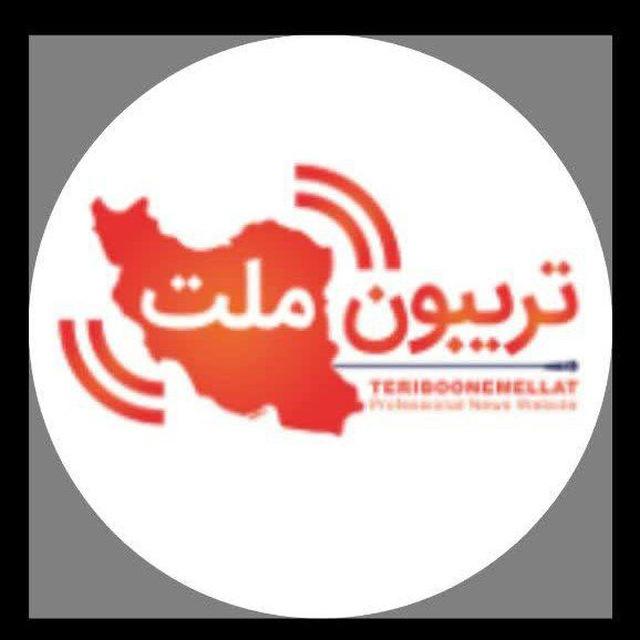 تریبون