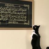 كتب الخلف