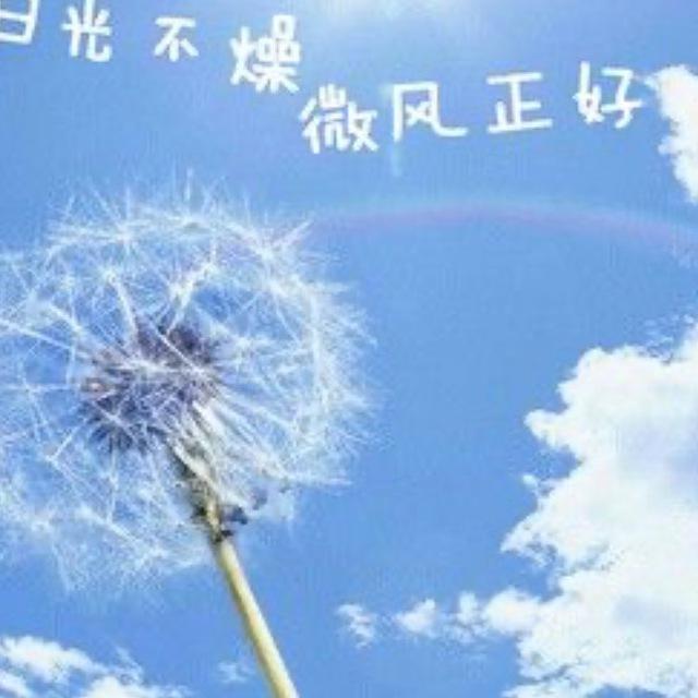 菲菲上货频道