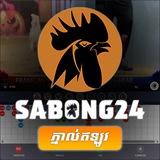 SB24 ( បក្សីកីឡា24ម៉ោង )🐔🐔