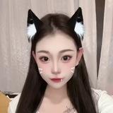 迪迪开课