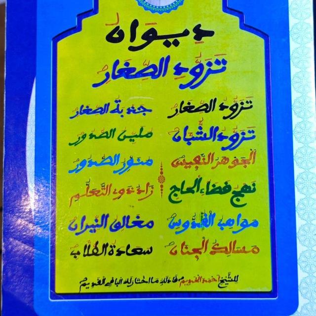 ديوان تزود الصغار