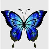 JVP Cambodai🦋