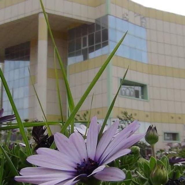 طلاب جامعة المثنى