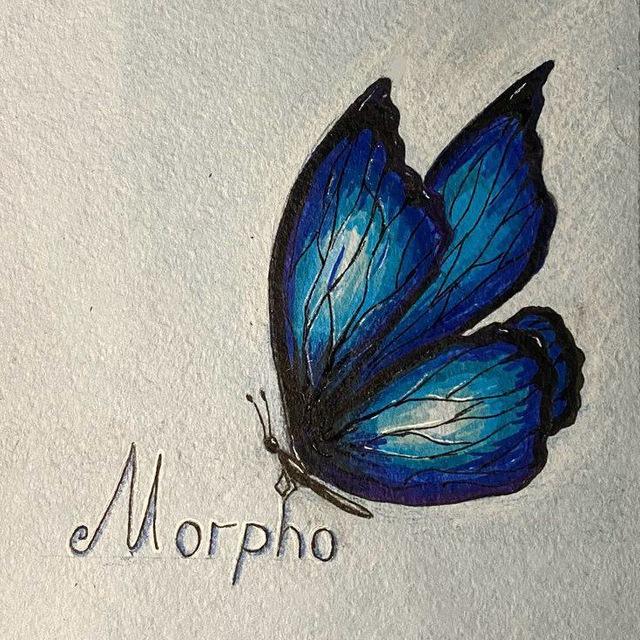 مـجلـد مـورفـو 🦋.