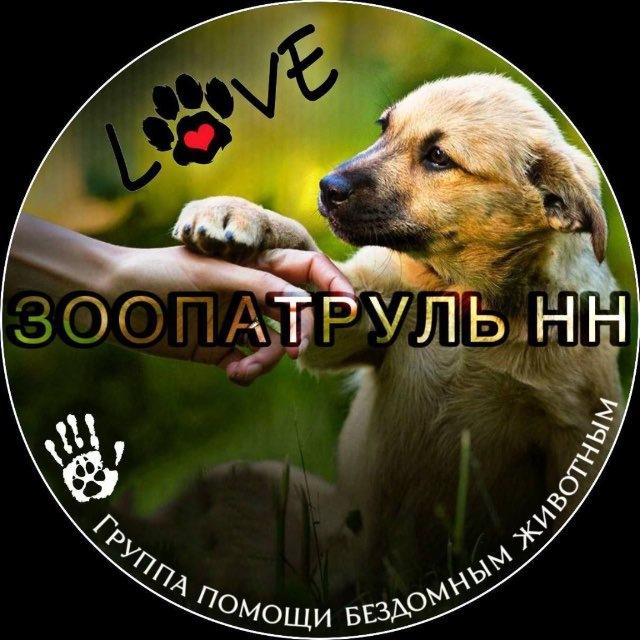 ЗООПАТРУЛЬ-НН (группа помощи бездомным животным)