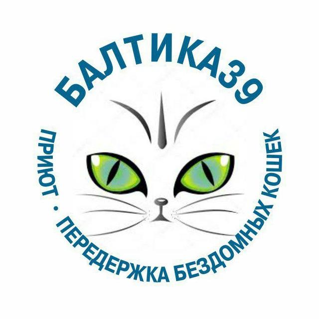 Приют «БАЛТИКА39» | кошки Калининград
