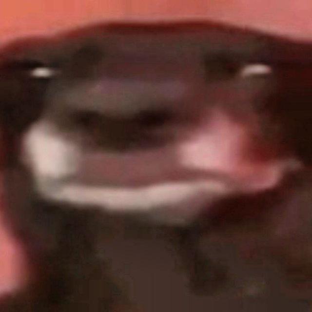 Cyka Voice | سوکا‌ ویس
