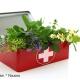 Herbs and Healing