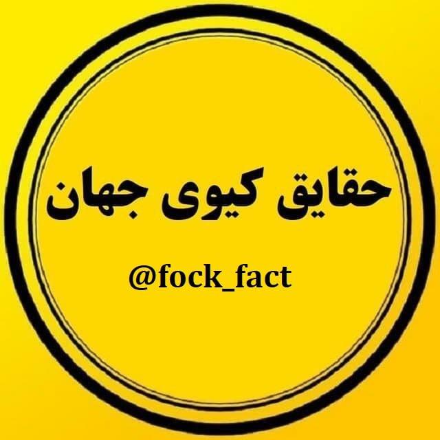 حقایق کیری جهان