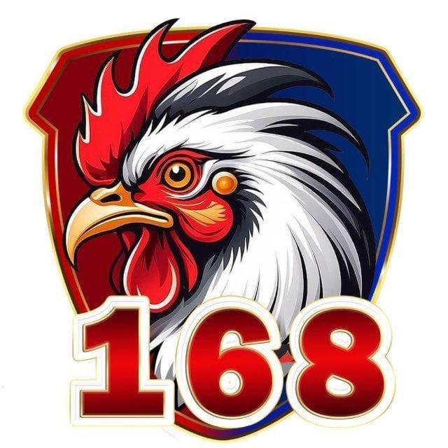 សង្វៀន V168 SB789
