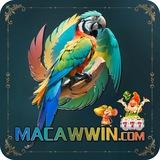 MACAWWiN| Canal Oficial ®🏆