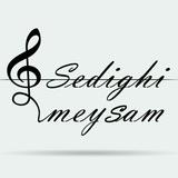Meysam sedighi