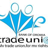 CBO Trade Union Members