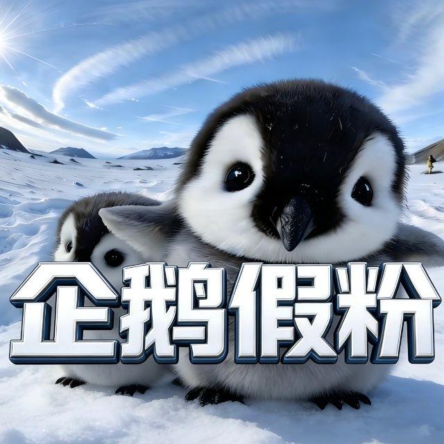 企鹅专业补量频道