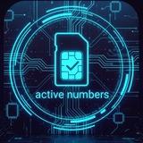 active numbers