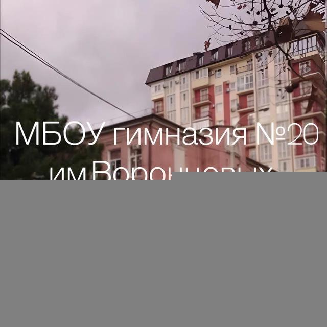 МБОУ гимназия №20