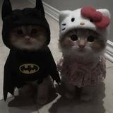 MORRY