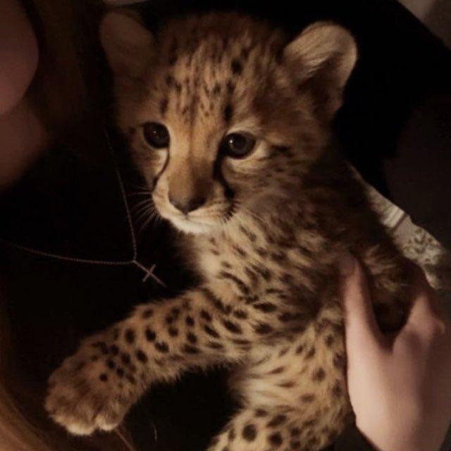 Élite👑🖤!.