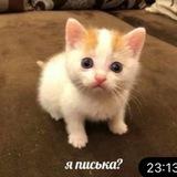 Прайс и отзывы ПОХУДЕНИЕ