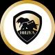 HILIYA SIGNAL GROUP
